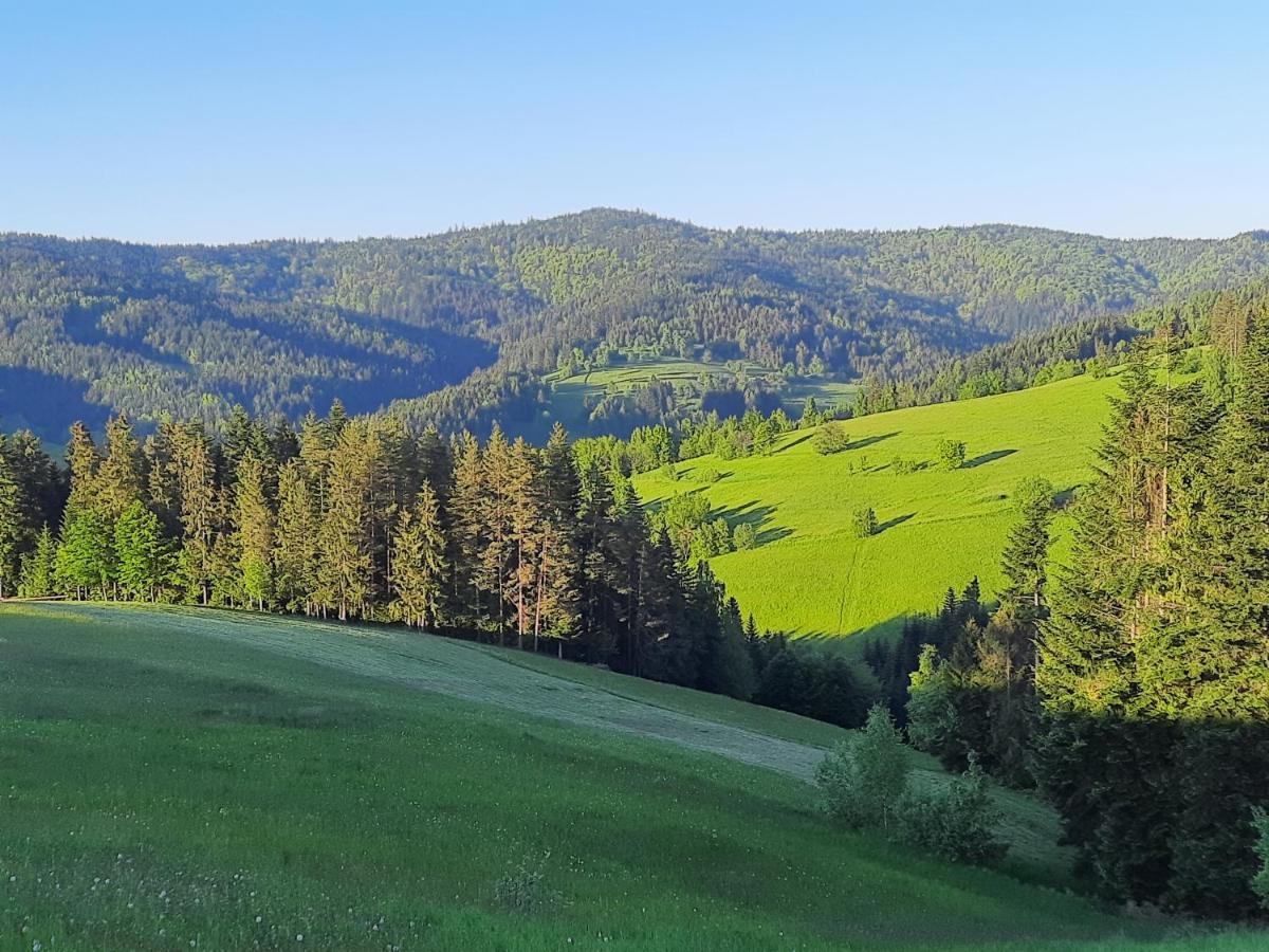 Domek Na Szlaku Rikardo Ponice Εξωτερικό φωτογραφία